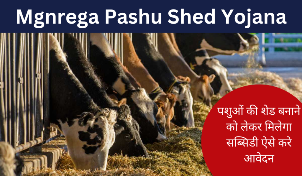 MGNREGA Pashu Shed Yojana