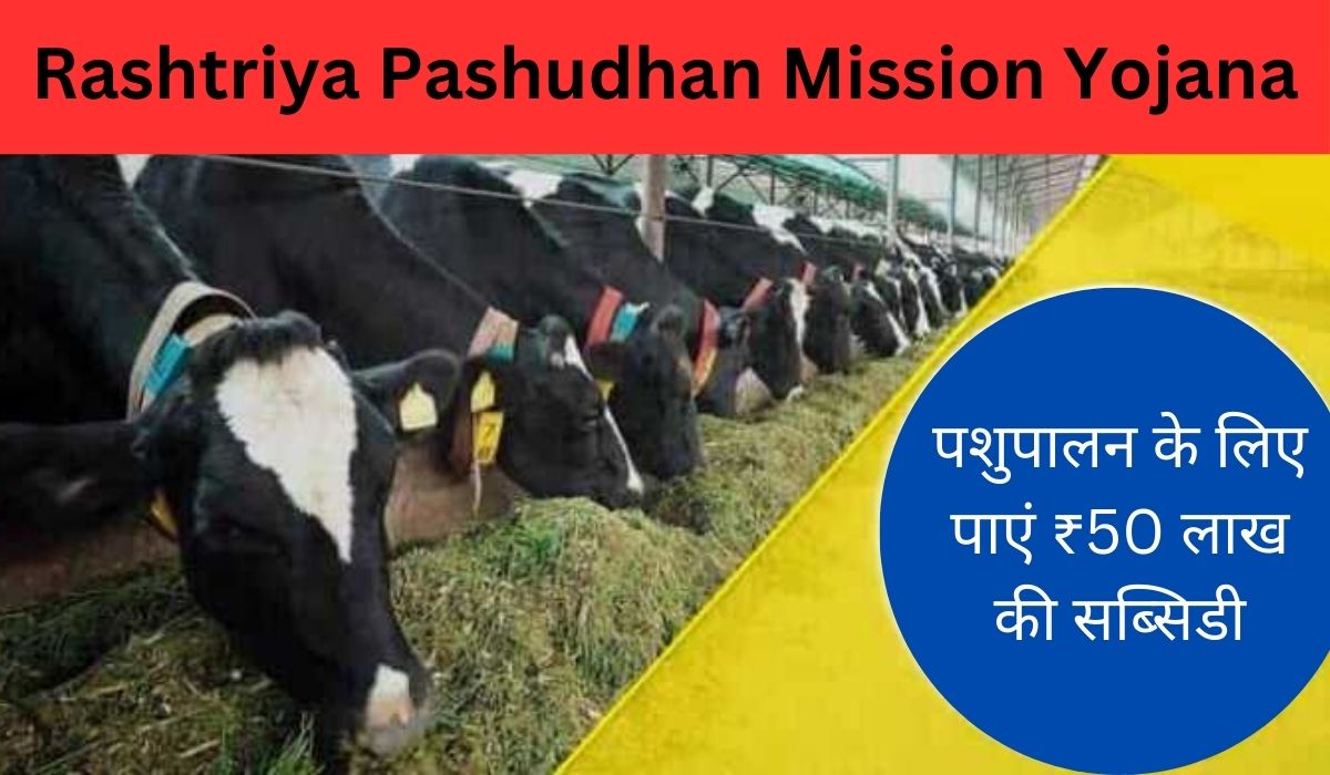 Rashtriya Pashudhan Mission Yojana